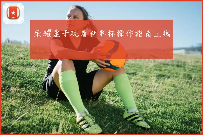 荣耀盒子观看世界杯操作指南上线