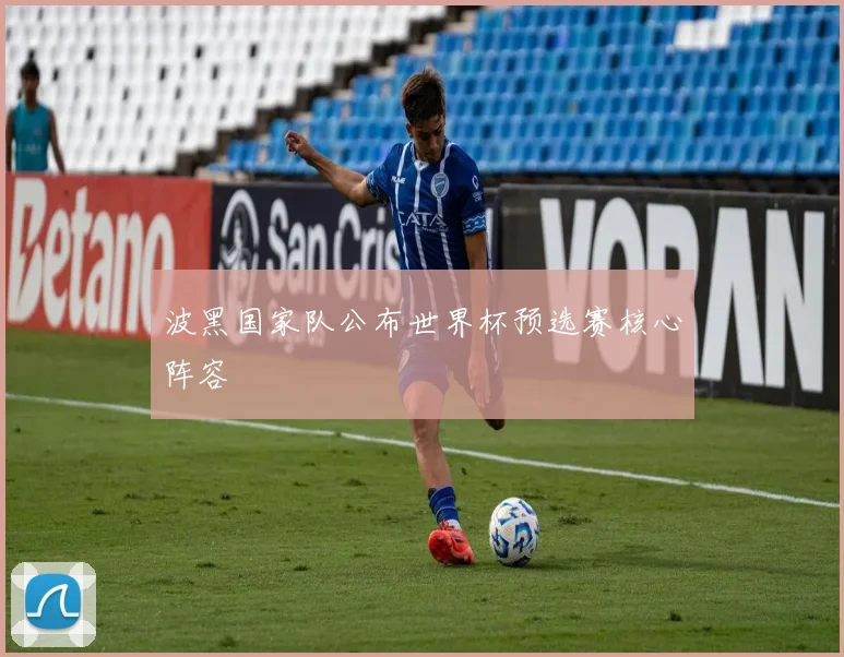 波黑国家队公布世界杯预选赛核心阵容